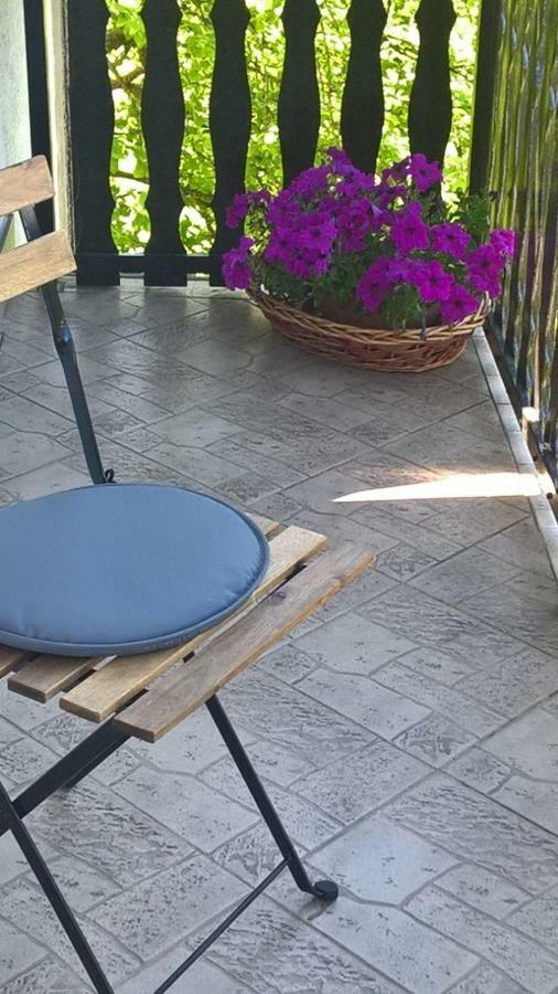 Apartman Ruzica Ogulin Eksteriør bilde